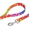 Country Brook Petz - Trippy Doggo Martingale Dog Collar &