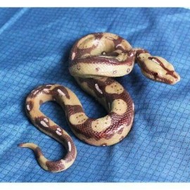 Unbranded Garden Big Rubber Realistic Snake Lifelike Scary Prank Toy Joke Party Prop