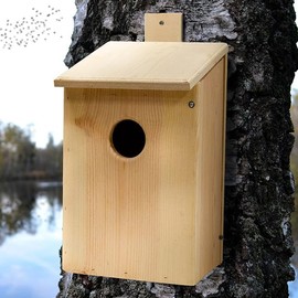 Screech Owl, Saw-Whet, and Kestrel House by Prime Retreat