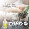 K. Hall Designs Lemon Sage Boxed Diffuser Kit, Citrus Scent
