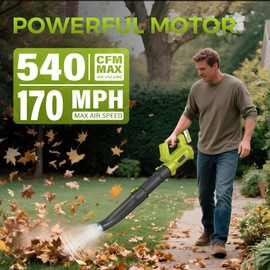 Electric Cordless Leaf Blower,540 CFM/170 MPH,Battery Powered with 2 x 6.0Ah Batteries,6-Speed & Turbo Mode,Lightweight for Lawn Care,Patio,Leaves,Dust,and Snow Removal