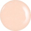 GELGRAPH Color Gel 130SG Orange Mojito 0.2 oz (5 g)
