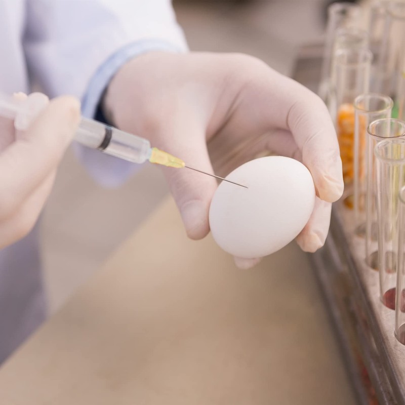 100 Pack - 3ml/cc Plastic Injection Syringe with 23G 1