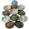 NESSASTORES 20 Abalone Shells 2.5-3.5 Inches | Natural Abalone Shell