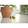 Osmocote PotShots: Premeasured House Plant Food, Feed for up to