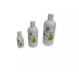 Mr Steam Amerec Eucalyptus - 8