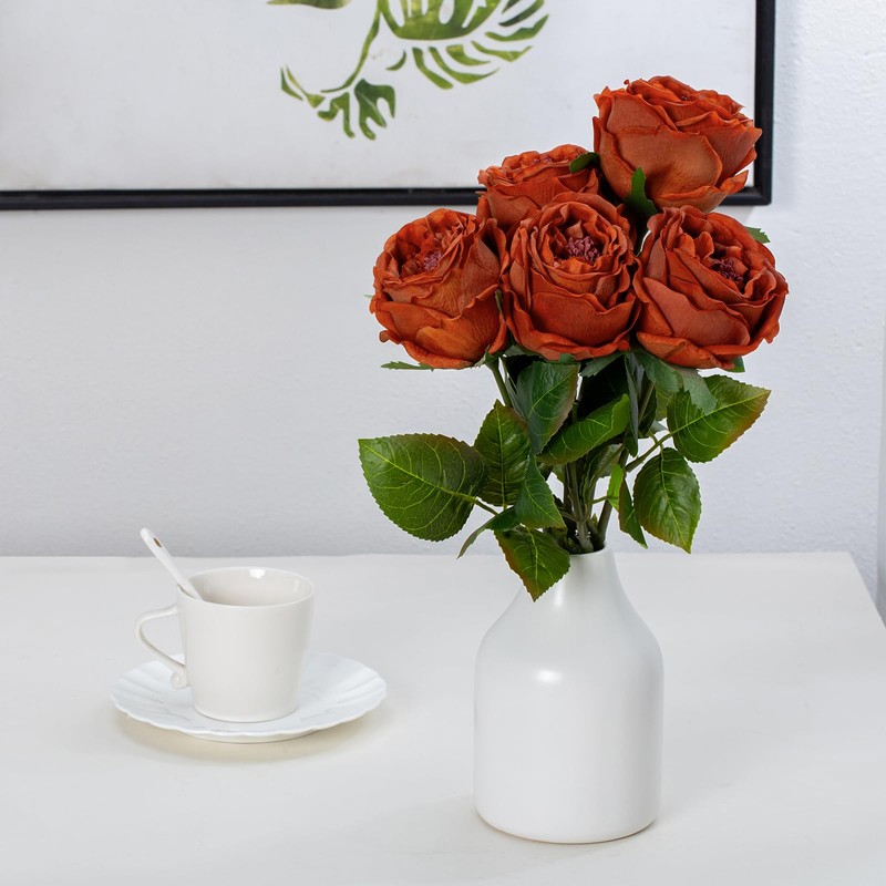 DuHouse 5Pcs Silk Roses Fake Burnt Orange Roses with Stems