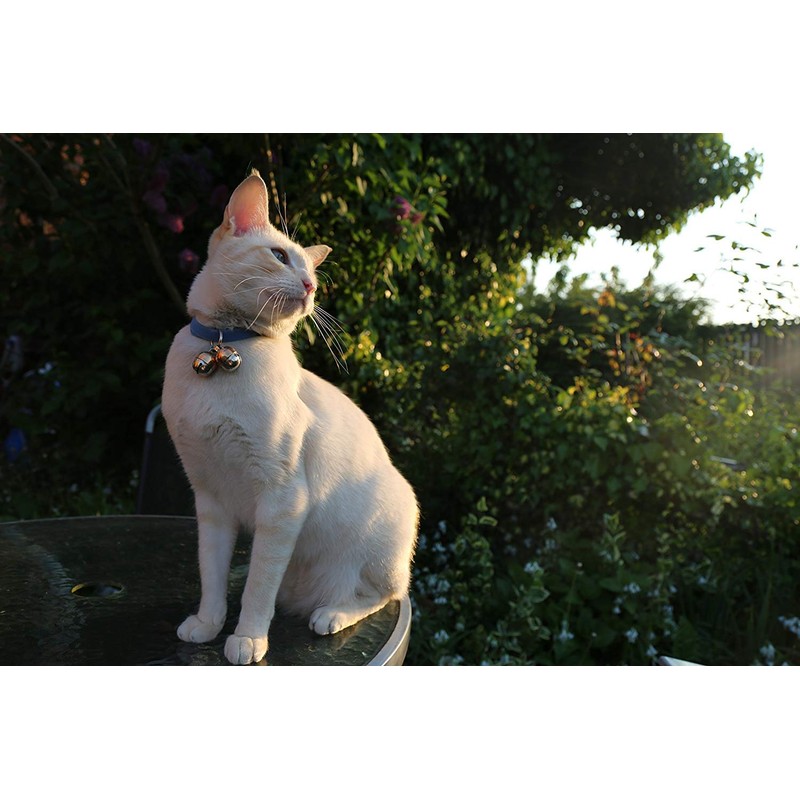 Beau's Bells 2 Extra Loud Cat & Dog Bells |