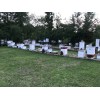 Rent A Hive Bee Rescue 5 pack Swarm Pro Snap