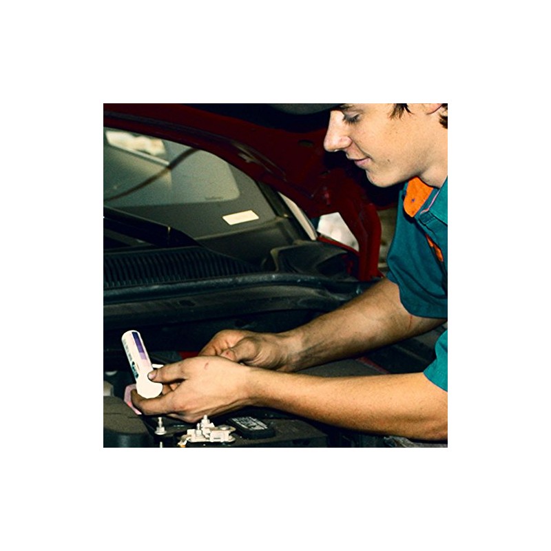 Phoenix Systems 3001-Ford Brake Fluid Test Strip for Ford (Determine