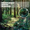 Highwild 3 Step Climbing Stick Aider for Hunting - Heavy