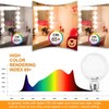 Dekang 8 Pack E26 Base Bathroom Light Bulbs 3000K Soft