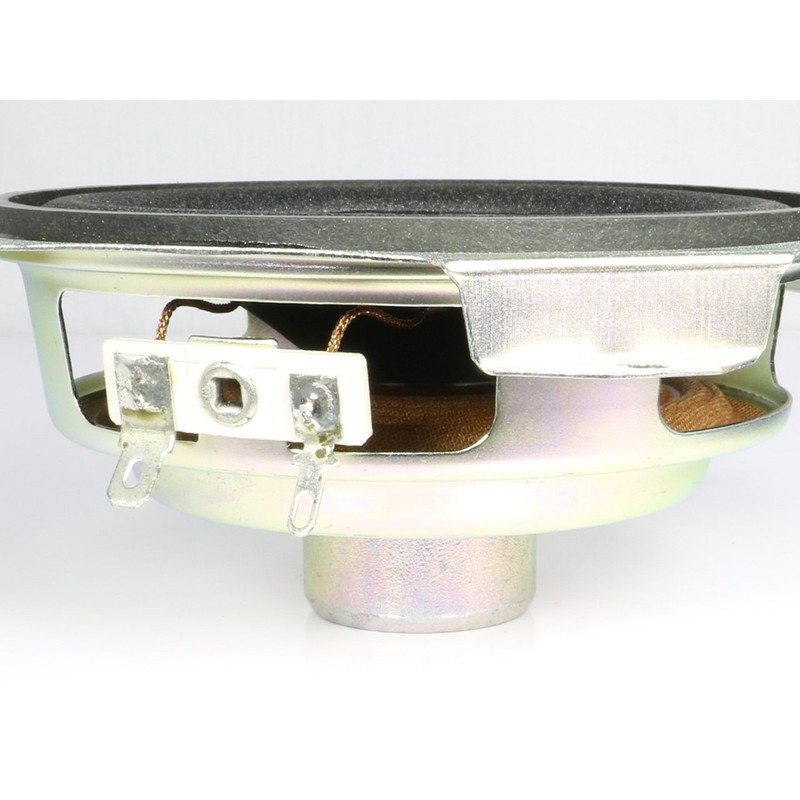 Hi-Fi hururenzisupi-ka-yunitto (100 mm) 8 ¦ ̧/Max W [Speaker Custom