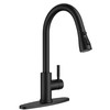 QFN Black Kitchen Faucet with Pull Down Sprayer, High Arc