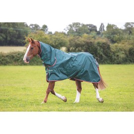 Shires Typhoon 0G Lite Combo Lightweight Horse/Pony Turnout Rug Green 6'9" / 81", Green