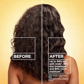 Garnier Hair Care Whole Blends Repairing Conditioner Honey Treasures for Damaged Hair, 22 Fl Oz, Pack of 2