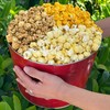 Signature Popcorn - 2-Gallon Solid Red Holiday Reusable Metal Tin
