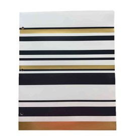 Carolina Pad Studio C Set of 3 Deluxe Poly Folders, The Gold Digger Collection (Cheetah, Elegant Stripes, Positively Stunning)