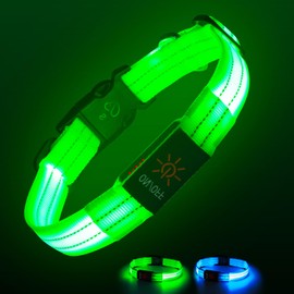 Light Collar Dog (Green, S)