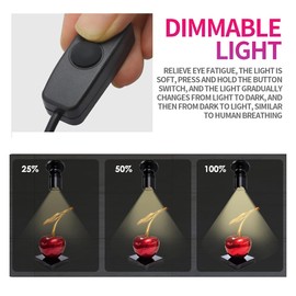 FOROUREYES 10 Lights Dimmable LED Cabinet Lights USB 5V Downlight for Model Display Counter Wine Garage Kit Exhibition Case Shelf Cold White Mini Spotlight