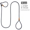 Boswany 6ft Small Slip Lead Dog Training Leash, 1/4-In Lightweight