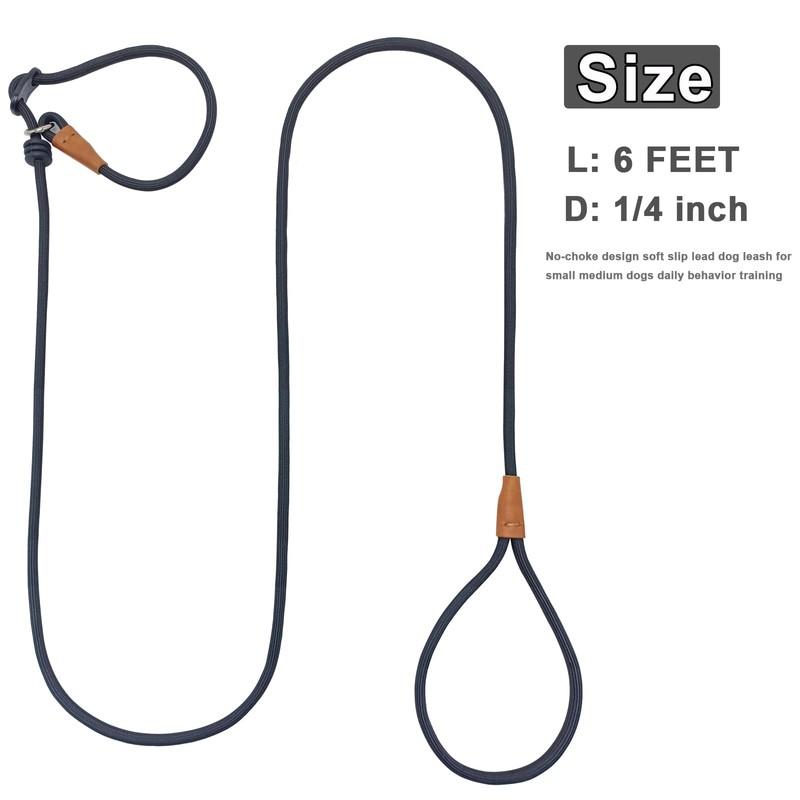 Boswany 6ft Small Slip Lead Dog Training Leash, 1/4-In Lightweight