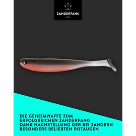 Zanderfang - Rubber fish for zander and perch flavoured with fish aroma - UV activity - set of 5 - rubber fish in roach decoration