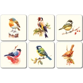 Garden Birds Melamine Coasters - Mixed Set 2, Pack of 6