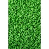 SPRINKLY - Sprinkle Shapes - Cactus - 25g
