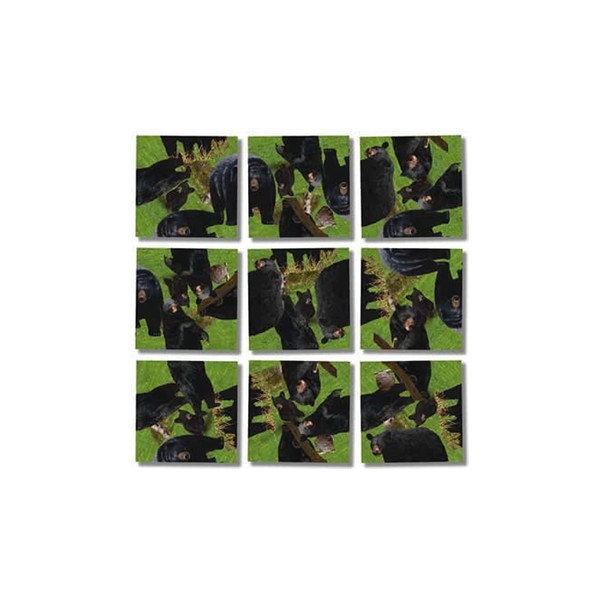 B. Dazzle - Black Bears 9 Piece Scramble Square Puzzle - Challenging Brain Teaser for Children & Adults-Boosts Cognitive Function & Problem Solving
