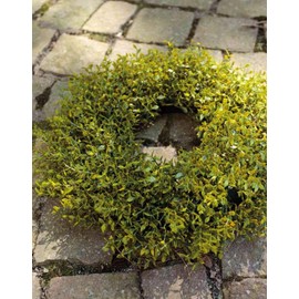 artplants. de Myrtle Decorative Wreath Jarik, Green, Diameter 20 cm, Artificial Wreath/Myrtle