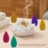 110Pcs Backflow Incense Cones for Waterfall 6 Different Mixed Natural