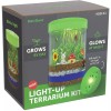Dan&Darci Light-up Terrarium Kit for Kids with LED Light on