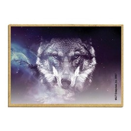 Wildlife Photography Magnet Series – Wolf Face Night Sky Rustic Nature Photography Magnets for Fridge, Office, Cooler, Cabin Decor 2.5 x 3.5 inch (SJT09567)