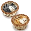 Coolayoung 2Pcs Sleeping Cat in Basket Doll Toy, Mini Kitten