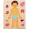 Wooden Human Body Puzzle for Kids - Removable Organ Pieces