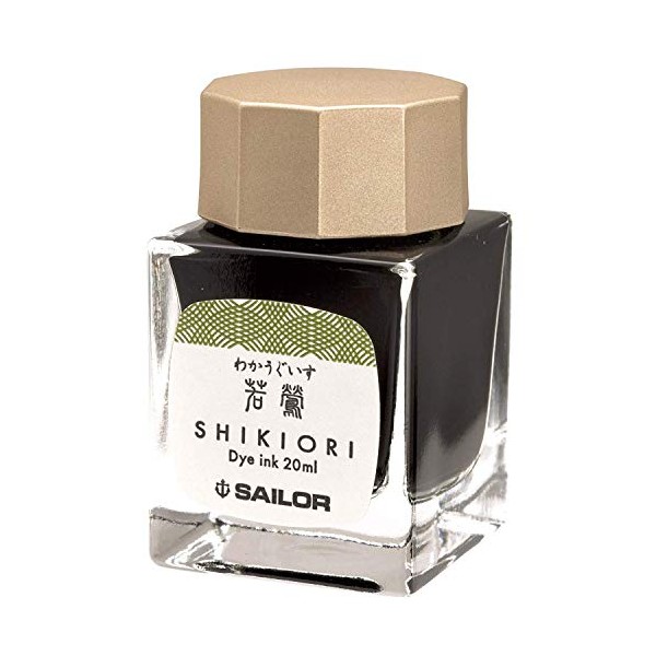 Sailor 13-1008-211 Fountain Pen, Bottle Ink, Four Seasons Weave, Dream of The Twenty Six Night, Young