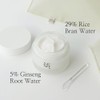 Beauty of Joseon [Beauty of Joseon]*size up* Dynasty Cream 100ml