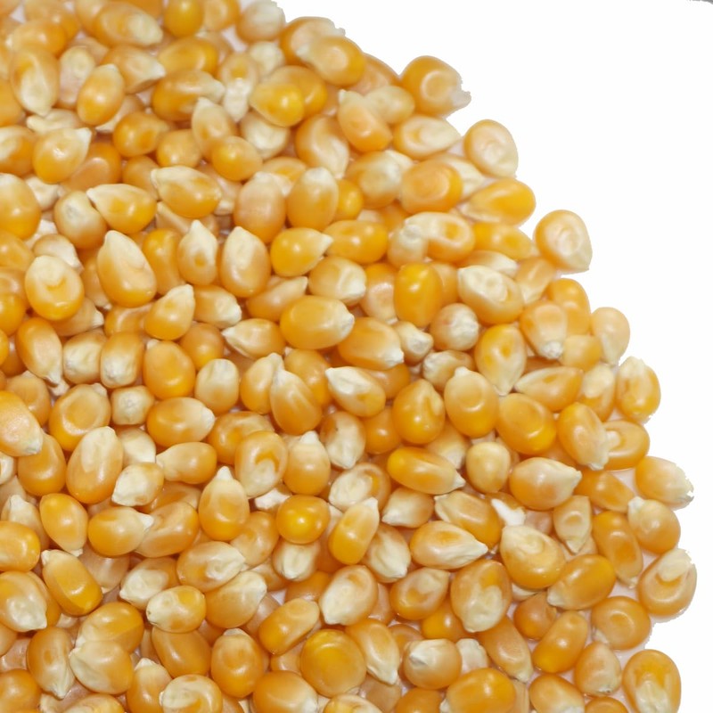 Popcorn, Ameyoko, Otsuya Popcorn Corn, Seeds, Popcorn (17.6 oz (500
