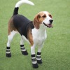 Anti Slip Dog Socks Boots, Dog Shoes for Paw Protection,