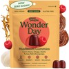 Plant People WonderDay Mushroom Gummies - Lion’s Mane, Cordyceps, Chaga