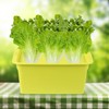 Aunifun Hydroponics Grower Kit Hydroponic SystemSelf Watering Indoor Hydroponics Tools