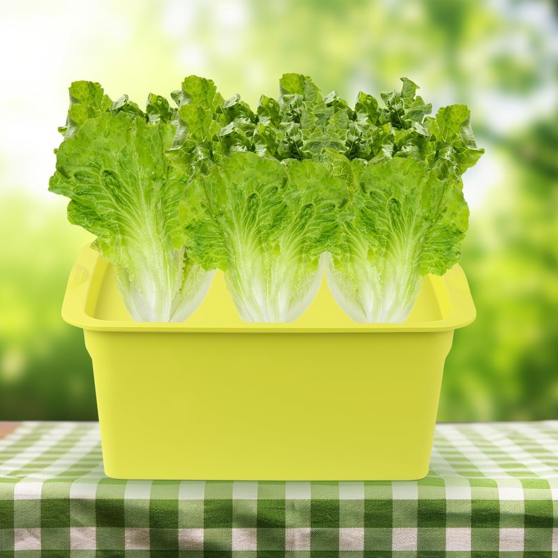 Aunifun Hydroponics Grower Kit Hydroponic SystemSelf Watering Indoor Hydroponics Tools