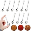 10 PCS Condiment Spoons Stainless Steel Mini Spoons 3 Inches