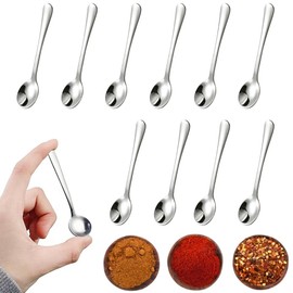 10 PCS Condiment Spoons Stainless Steel Mini Spoons 3 Inches Cute Small Spoons Silver Tiny Spoon for Powder Spices Jars Salt Sugar Pepper Desserts Honey
