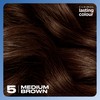 Clairol Lasting Colour Permanent Hair Dye | Ideal Grey Coverage