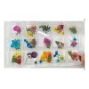 DANYBELLA MODA Y BELLEZA Naturaleza Muerta Flores Decoración Uñas Acrílicas (caja)