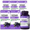 I'm Nutri Real Bilberry MAX 5 Boxes / 아임뉴트리 리얼