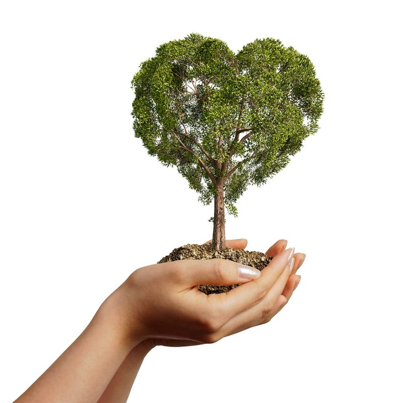 Ladybug Spot Luxury Solid Cologne 5 Scent Sample Set (FRUIT