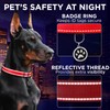 TECEUM Reflective Dog Collar – Red – XXS – Basic